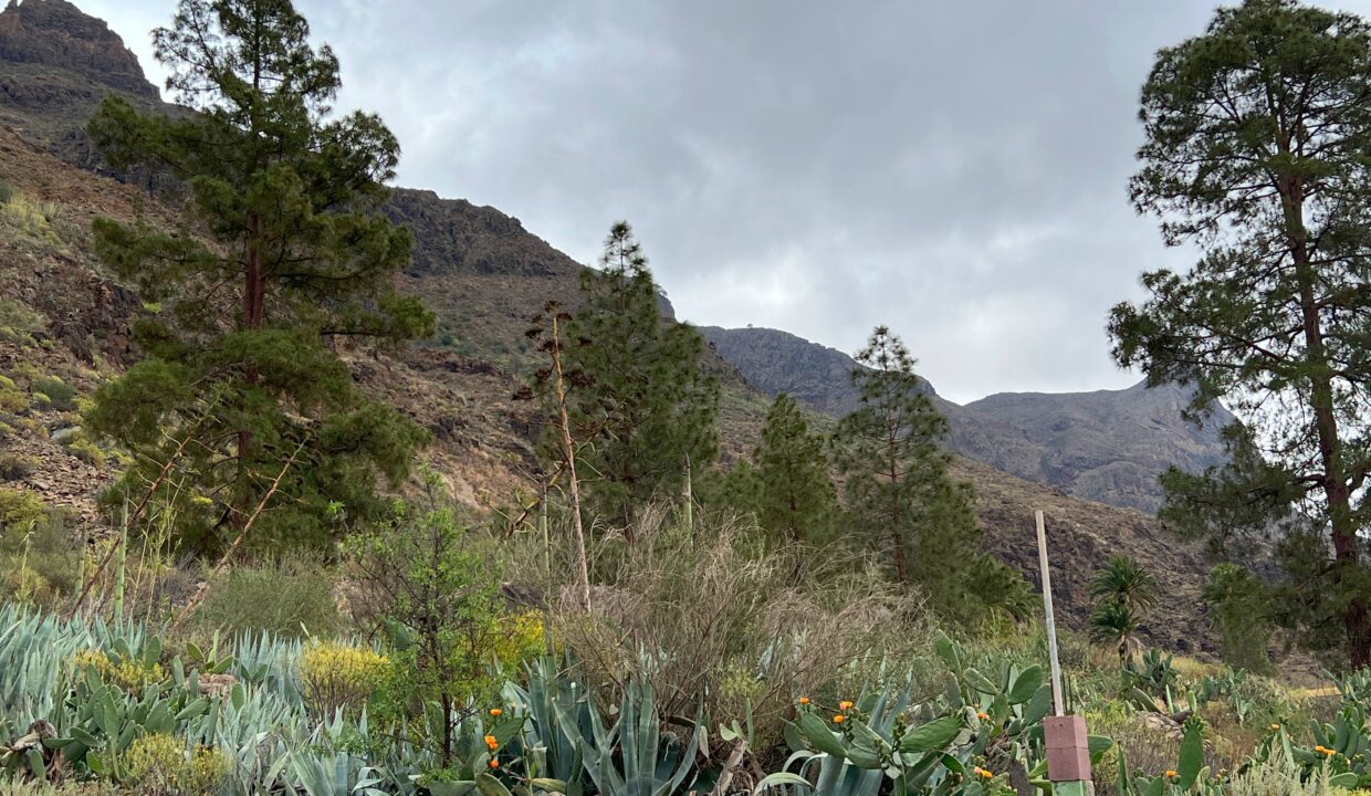 FINCA MALTE FATAGA_002